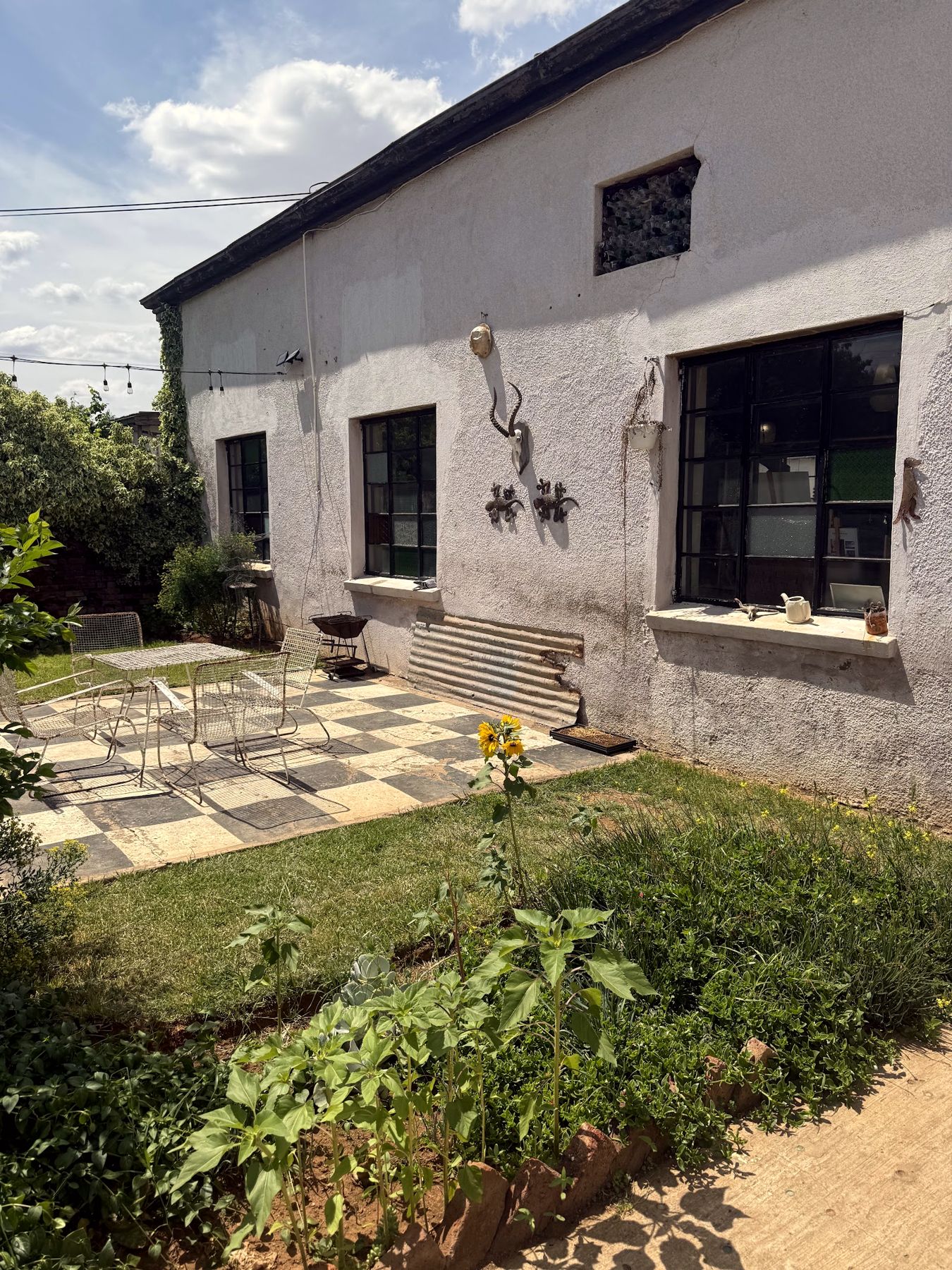 The garden